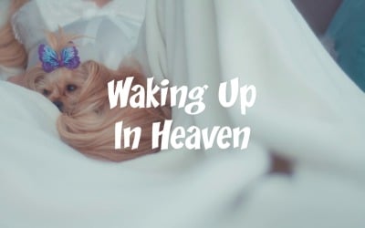 Wake To A Life Of Wonder / Waking Up In Heaven