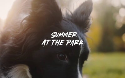 Chasing Sunshine Together / Summer At The Park