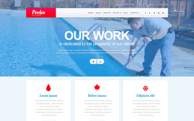 Pool Cleaning Company №48155