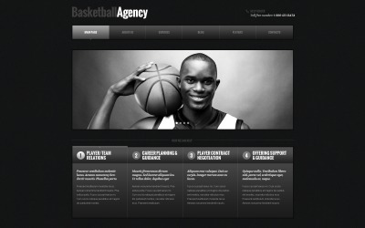 Responsives WordPress-Theme für Basketball