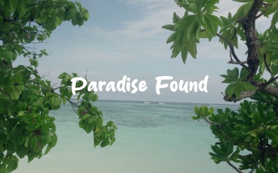 Feel The Paradise Within / Paradise Found