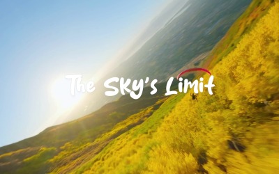 Fly Free Fly High / The Skys Limit