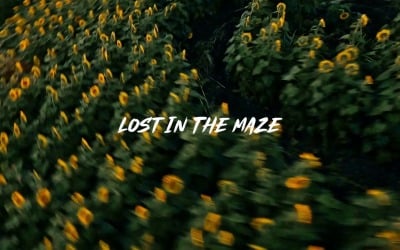 Its A Journey Through The Unknown / Lost In The Maze