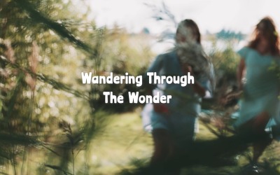 Every Turn Brings A New Wonder / Wandering Through The Wonder