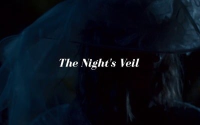 Secrets In The Night / The Nights Veil
