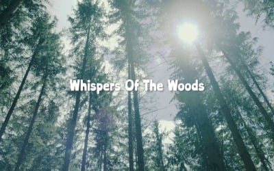 Secrets In The Breeze / Whispers Of The Woods