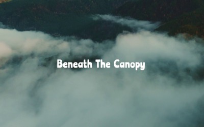 Secrets Lie Within / Beneath The Canopy