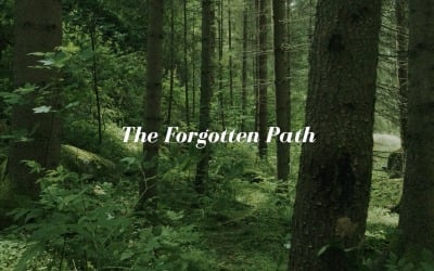 Every Step Is Unknown / The Forgotten Path
