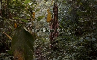 Hidden Journey Ahead / The Hidden Path