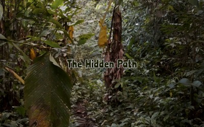 Paths Veiled In Mist / The Hidden Path