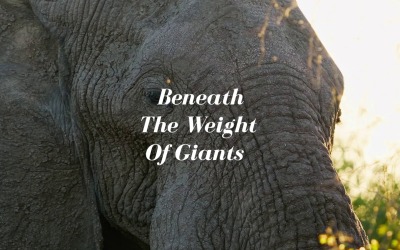 Strength Is In The Struggle / Beneath The Weight Of Giants
