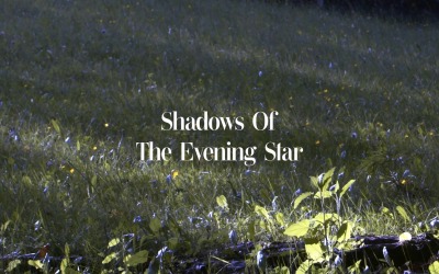 Darkness Follows The Light / Shadows Of The Evening Star