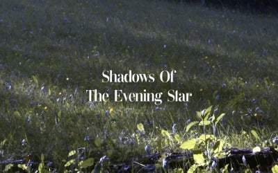 Lost In The Dark Glow / Shadows Of The Evening Star