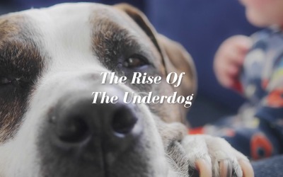 From The Bottom We Rise / The Rise Of The Underdog