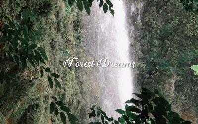 Dreams Wander With The Wind / Forest Dreams