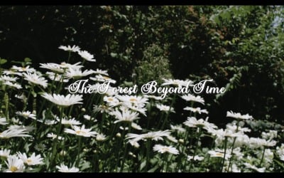 In The Woods Time Disappears / The Forest Beyond Time