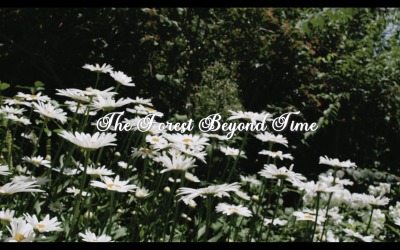 Through The Woods Beyond Time / The Forest Beyond Time