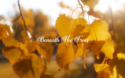 Whispers Echo Through The Trees / Beneath The Trees