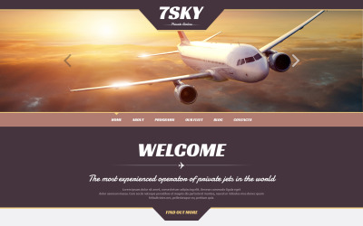 Responzivní WordPress motiv na téma Soukromá aerolinka #48422