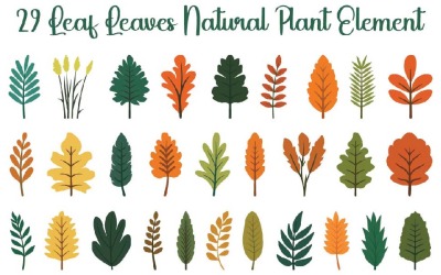 29 Leaf Leaves Natural Plant Element