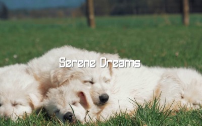I sussurri cullano le stelle / Sogni sereni