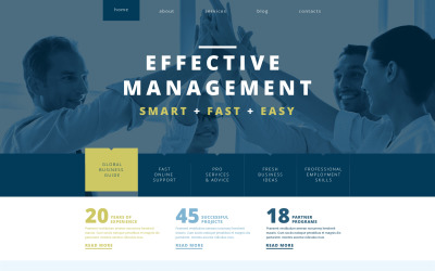 Responsive WordPress thema over Beheermaatschappij №48530