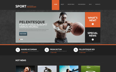 Sporthírek érzékeny WordPress téma