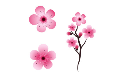 Branche d&amp;#39;arbre Sakura Beauté Japon fleur voyage Vector icon illustration design v.11