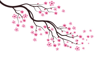 Branche d&amp;#39;arbre Sakura Beauté Japon fleur voyage Vector icon illustration design v.5