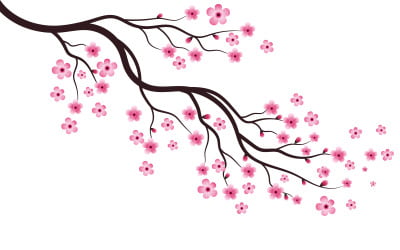 Tree Branch Sakura Beauty japan flower travel Vector icon illustration design v.5