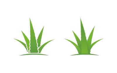Aloe vera vector illustration logo design Template v.1