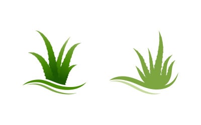 Aloe vera vector illustration logo design Template v.3