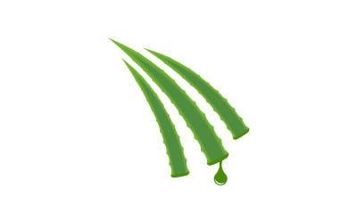 Aloe vera vector illustration logo design Template v.4