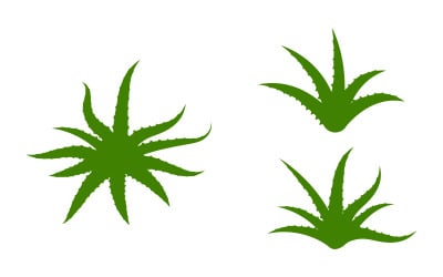 Aloe vera vector illustration logo design Template v.7