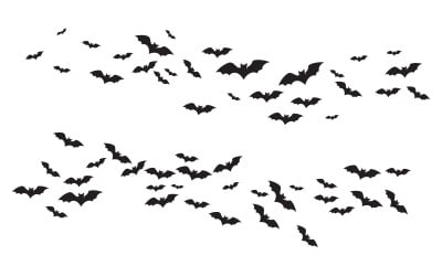 Dark Bat vector icon template illustration design v.12