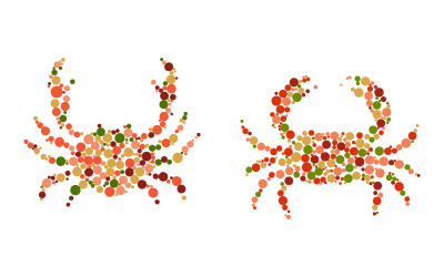 Krab vector icon logo ilustrace šablona návrhu v.6