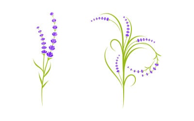 Illustrazione vettoriale dell&amp;#39;icona del fiore di lavanda Modello v.14