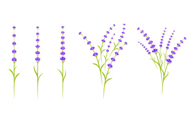Lavendel blomma Vektor ikon illustration design mall v.1