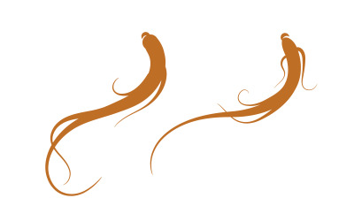 Plantilla de diseño de logotipo con ilustración de icono vectorial de hierbas de ginseng v.16