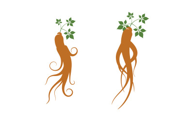 Plantilla de diseño de logotipo con ilustración de icono vectorial de hierbas de ginseng v.2