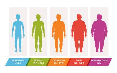 Body mass index vector illustration design template v.1