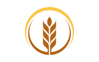 Wheat rice vector icon logo illustration design template v.5