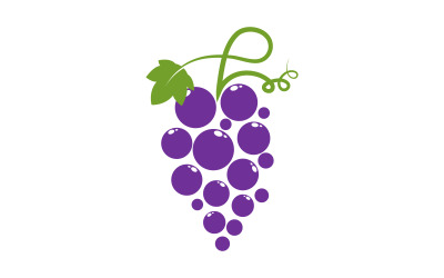 Modelo de logotipo de uvas e frutas, ilustração vetorial, design v.6