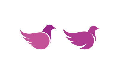 Vogelflügel, Taube, Symbol, Logo, Design, Vektor, Abbildung, v.7