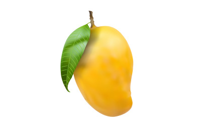 Realistic Mango Food Vector Illustration