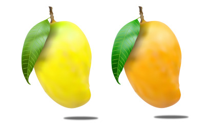 Realistic Ripe Mango Vector Illustration