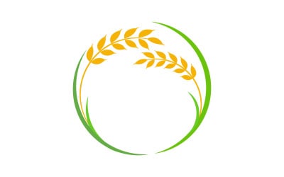 Agriculture Wheat rice farm vector icon illustration template v.10