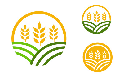 Agriculture Wheat rice farm vector icon illustration template v.5