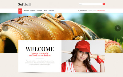 Responsives WordPress Theme für Baseball #49226