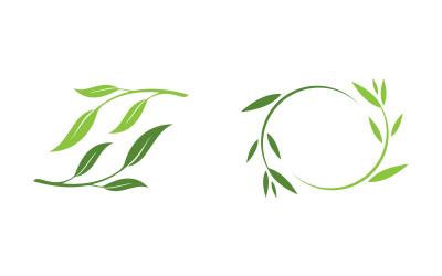 Modello di progettazione dell&amp;#39;illustrazione vettoriale della foglia di olio d&amp;#39;oliva v.10